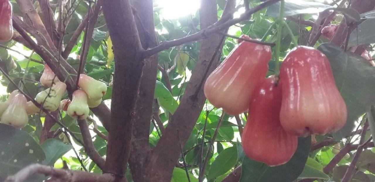 Seri Kenangan Kota Samarahan Extérieur photo